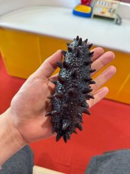 -米兜欢乐王国·儿童乐园(龙华星河iCO店)