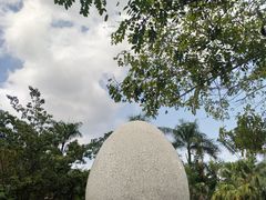 -100蛋泥浆浴