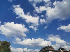 -倒立小屋
