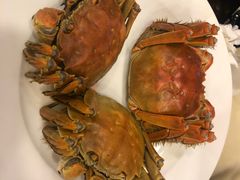 -王宝和酒家(黄浦店)