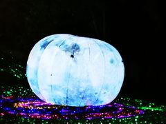 -观澜湖生态运动公社