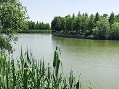 -太湖湖滨国家湿地公园-停车场