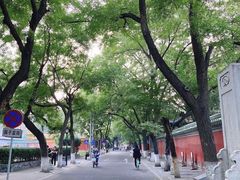-北京国子监胡同