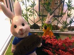 -苗小坛酸汤鱼(酒仙桥店)