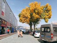 -特克斯八卦城