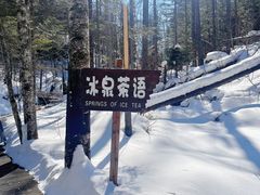 -峡谷浮石林景区