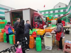 -何庄子阿米玛玛农产品批发市场
