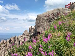-芦芽山旅游度假区