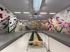-绿壁虎攀岩基地(Tcar店)