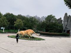 -南昌动物园