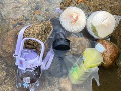-广州市流溪河国家森林公园