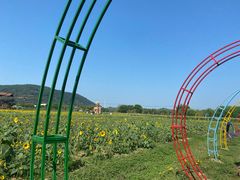 -苏州太湖西山岛开心农场