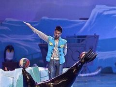 -大连圣亚海洋世界