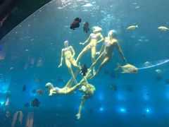 -瑞德姆美人鱼海底演艺主题餐厅(亚龙湾店)