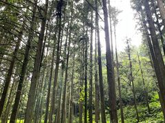 -广州市石门国家森林公园