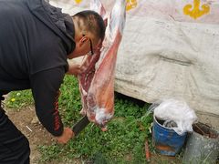 -关山牧场王师烤全羊