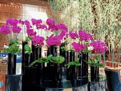 -天津君隆威斯汀酒店