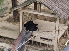 -石家庄市动物园