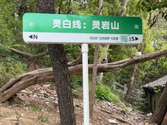 -灵岩山风景区