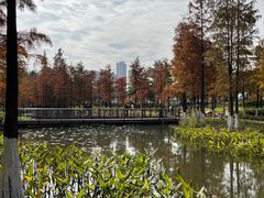 -映月湖公园