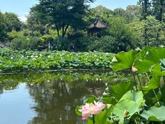 -成都市文化公园
