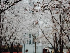 -龙美术馆西岸馆-停车场