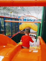 -爱丽丝奇幻乐园