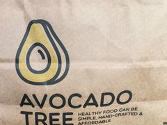 -油梨树AVOCADO TREE(顺义新国展店)