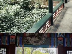 -济南国际园博园