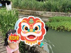 -成都市活水公园