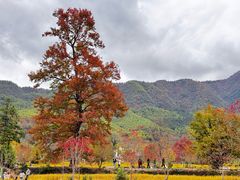 -塔川景区
