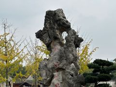 -天一阁博物院