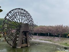 -南京老山国家森林公园