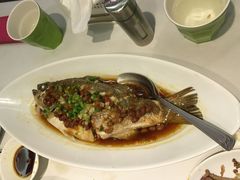 古法破布子蒸鲈鱼-汤城小厨•粤菜•靓汤(金宝街店)