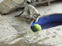 -秦皇岛野生动物园
