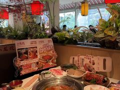 -小龙坎火锅(春熙太古里店)