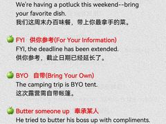 -引领英语·成人口语·雅思托福