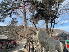-妙峰山风景名胜区