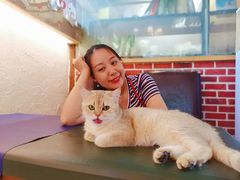 -猫小院猫主题餐厅(南锣旗舰店)