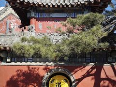 -泰山风景名胜区