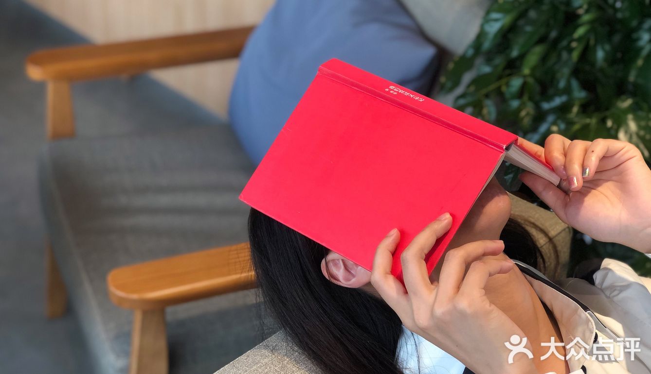 江门城中一隐世茶馆《若柑年后》欣赏日与月