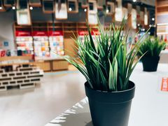 -当当书店(国泰广场店)