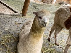 -龙湾潭国家森林公园