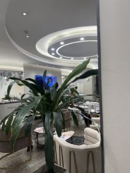 -上海首尔丽格医疗美容医院