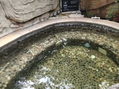 -海口观澜湖火山温泉谷