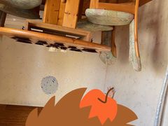 -金山农民画村-枫泾波兰倒置屋