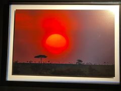 -罗红摄影艺术馆