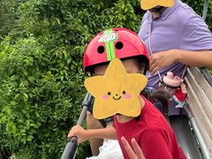 -圣淘沙天际线斜坡滑车