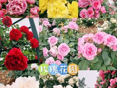 -上海辰山植物园