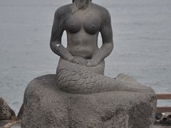 -龙头岩(Dragon Head Rock)